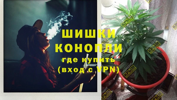 PSILOCYBIN Кинешма