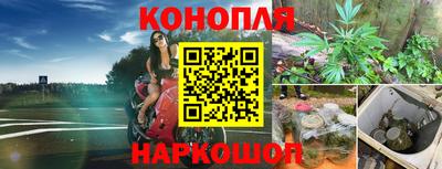 спиды Аргун