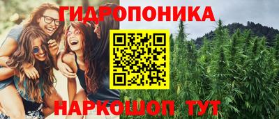 прущие крисы Апшеронск