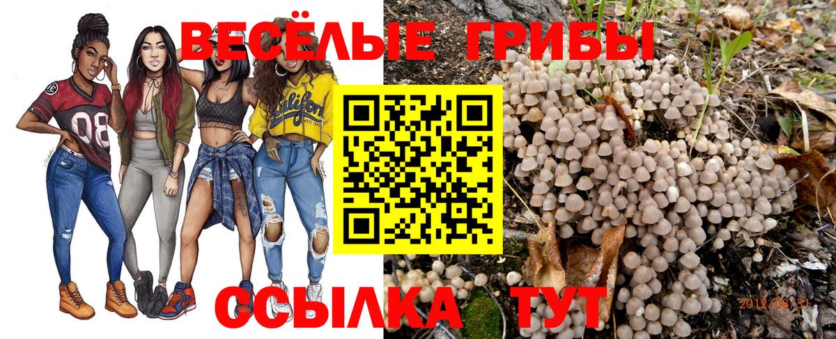 ГАШИШ Архангельск
