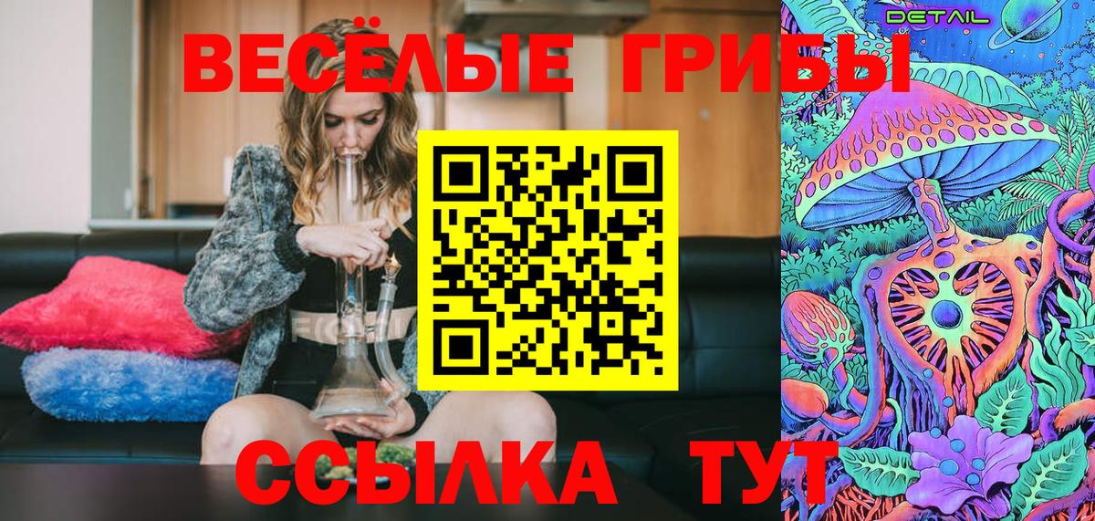 Псилоцибиновые грибы Psilocybine cubensis  даркнет сайт  Архангельск 